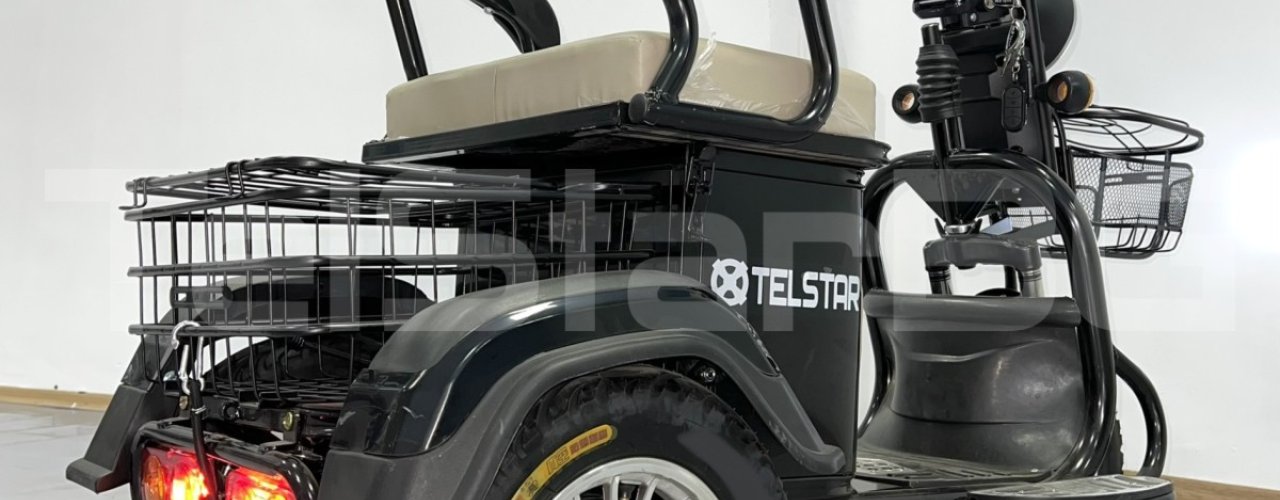 Електрическа триколка 1+1 TS-750++ 48V 1500W Нов модел 2025