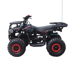 Детско бензиново ATV 49сс TELSTAR SIRIUS с електрически стартер снимка 274