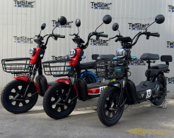 Електрически скутер TelStar TBSLD T-REX с двойна седалка нов модел 2025 снимка 280