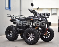 ATV TS-250 250сс HUNTER Camouflage с двигател SHINERAY снимка 38